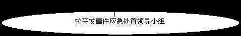 椭圆: 校突发事件应急处置领导小组